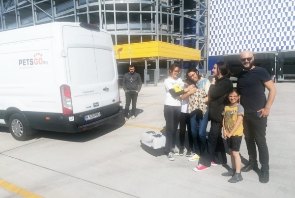 programare-transport