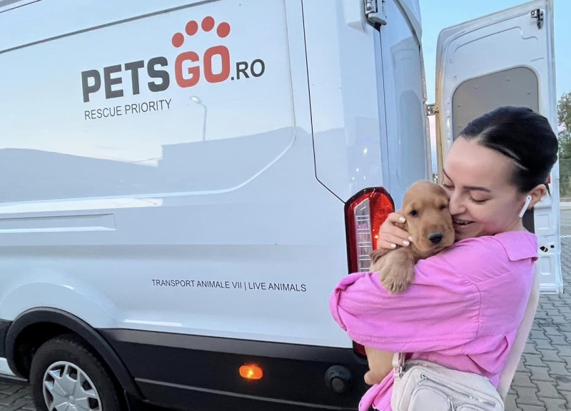 programare-transport